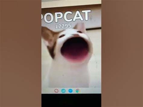 popcat unblocked|POPCAT CLASSIC.